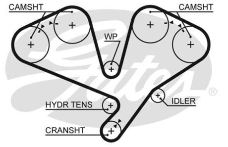 Ремень ГРМ Gates 5659XS