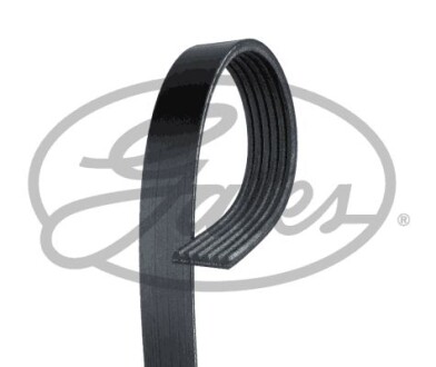 Gates 6PK1216HD