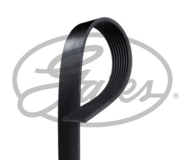 Доріжковий пас Gates 8PK2595HD