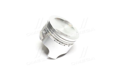 Поршень (0,25) M100 GM 12111A78B01025