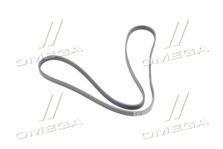 KEILRIPPENRIEMEN GENERAL MOTORS GM 12664598