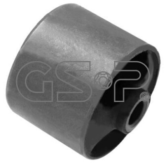GSP 516501