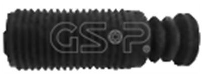 GSP 540161