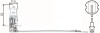 Лампа накалу дальнього світла. Лампа накаливания, противотуманная фара. Лампа накаливания. Лампа накаливания, основная фара. Лампа накаливания, фара рабочего освещения. Лампа накалу дальнього світла. Лампа накаливания, противотуманная фа HELLA 8GH002090253 (фото 1)