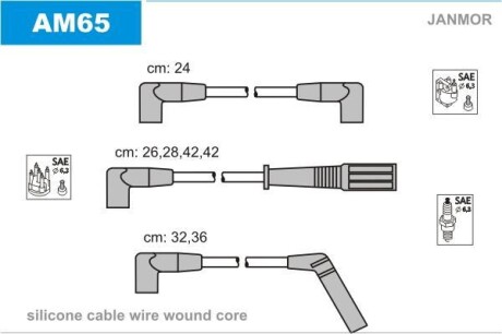 Дроти запалення, набір Janmor AM65