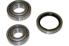 Набір підшипника маточини колеса PARTS KAVO WBK4008 (фото 1)