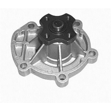 Насос води MAGNETI MARELLI 352316171016