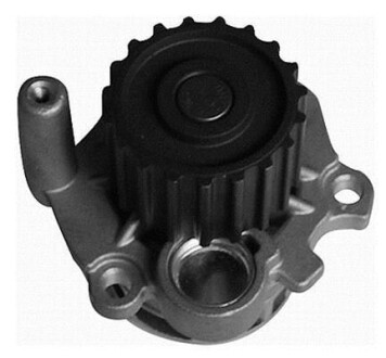 Насос води MAGNETI MARELLI 352316171212