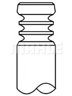 Клапан випускний BMW N20/N52/N54/N55 MAHLE / KNECHT 081VA31923000 (фото 1)