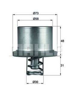 Термостат MAHLE / KNECHT THD289 (фото 1)