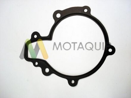 Водяний насос MOTAQUIP LVWP998