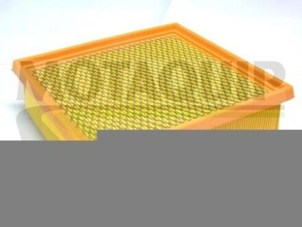 Повітряний фільтр MOTAQUIP VFA 1197