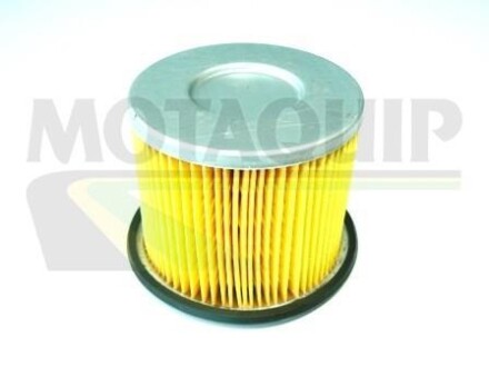Фільтр палива MOTAQUIP VFF 202