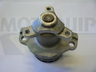 Водяний насос MOTAQUIP VWP870
