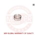 Поршневое кольцо MSG 93-00-K-SET/20/-MS (фото 1)