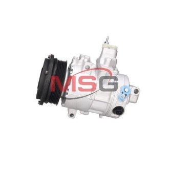 MSG AC0171