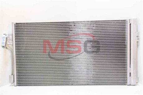 MSG RC0023