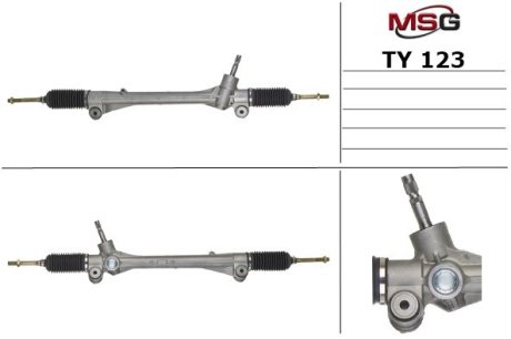 MSG TY123