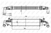 Інтеркулер NRF 30364 (фото 5)
