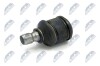 ШАРОВА ОПОРА ПІДВІСКИ | MAZDA 626 GE/GF/GV/GW 91-,323 BJ 98-,PREMACY 99-,TRIBUTE 01-,KIA CLARUS 96-01 /ПЕРЕД НИЗ/ NTY ZSDMZ005 (фото 1)