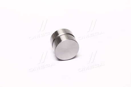 Гідрокомпенсатор HYUNDAI/KIA PARTS-MALL HCETB017