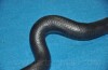 Шлангопровод PARTS MALL PARTS-MALL PXNMA168 (фото 4)