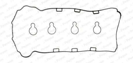 Набір прокладок клап.кришки Payen HM5370