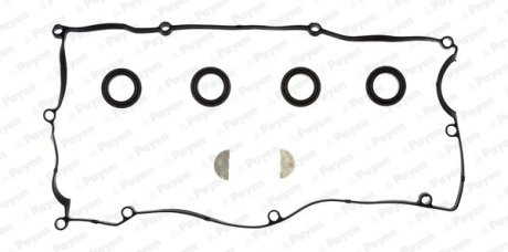 Набір прокладок клап.кришки Payen HM5374