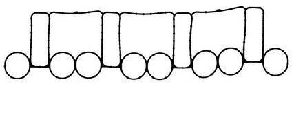 Прокладка впускного колектора Payen JD5805