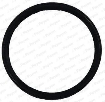 Ущільнення, впускний колектор Payen JD6150