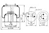 Пневмоподушка PHOENIX 1DF20C4 (фото 1)