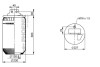 Пневмоподушка PHOENIX 1DF20G2NP (фото 4)