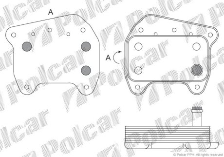 Радіатор масла Polcar 5003L8-1