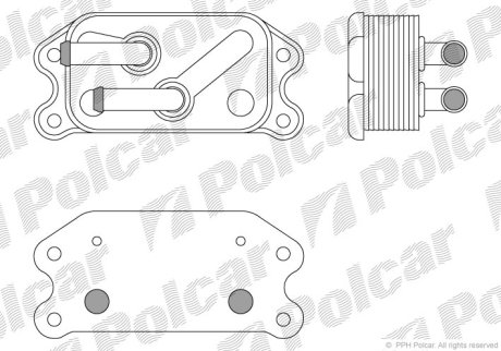 Радіатор масла Polcar 9082L82X