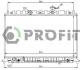 Радіатор охолоджування PROFIT PR 2910A6 (фото 1)