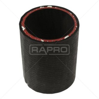 RAPRO R14202