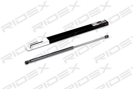 Автозапчасть RIDEX 219G0200
