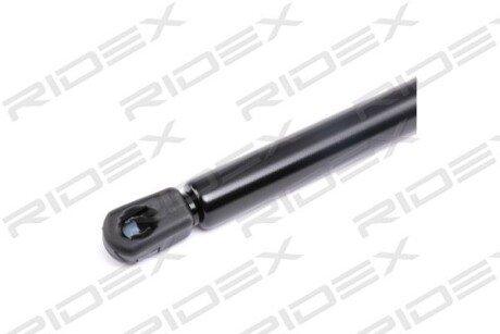 Автозапчасть RIDEX 219G0496