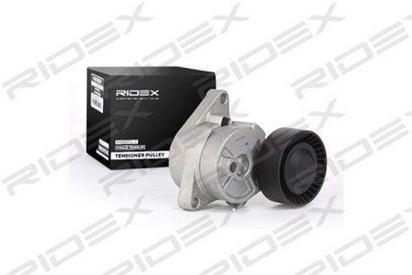 Автозапчасть RIDEX 310T0022