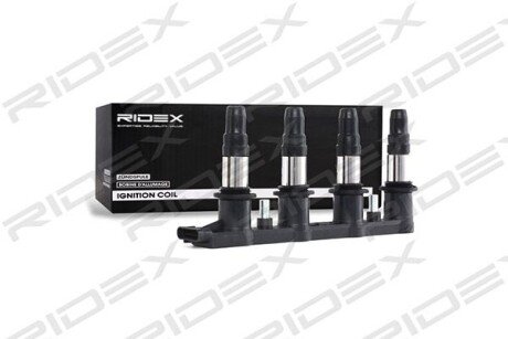 Автозапчасть RIDEX 689C0179