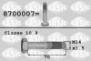 Болт шестерні колінчастого вала M14X1,5X79 CITROEN SASIC 8700007 (фото 1)