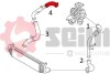 Патрубок інтеркулера (верхній) Ford Focus II 1.6TDCi/1.8TDCi 03-12 Seim 981229 (фото 2)