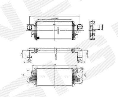 ИНТЕРКУЛЕР Signeda RI96438 (фото 1)