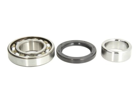 Комплект подшипника ступицы колеса SKF VKBA3923