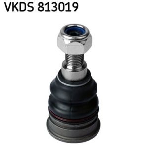 SKF VKDS813019