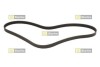 STARLINE SR5PK1343 (фото 1)