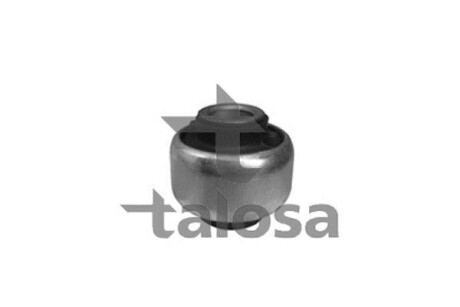 Підвіска, важіль незалежної підвіски колеса TALOSA 57-09891