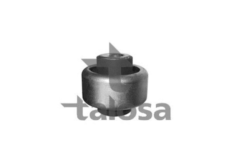 Підвіска, важіль незалежної підвіски колеса TALOSA 57-09954