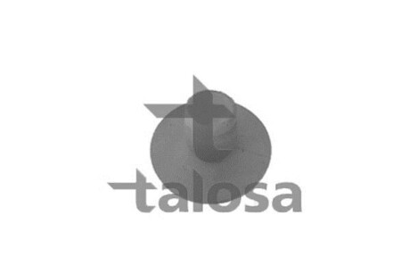 Автозапчасть TALOSA 6301938