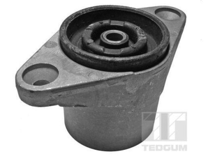 Автозапчасть TEDGUM 00729328
